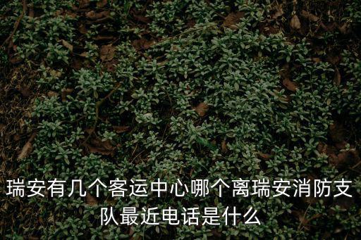 瑞安有幾個客運中心哪個離瑞安消防支隊最近電話是什么
