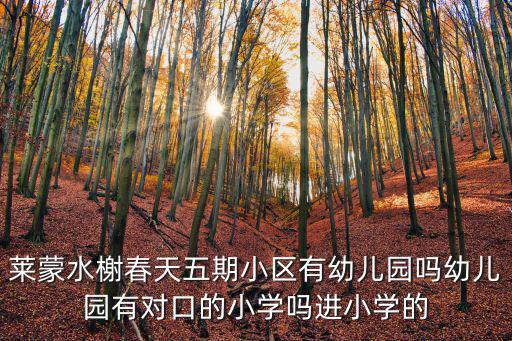 萊蒙水榭春天五期小區(qū)有幼兒園嗎幼兒園有對口的小學(xué)嗎進小學(xué)的