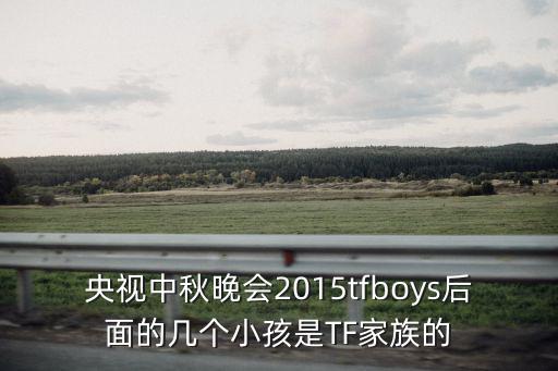 央視中秋晚會2015tfboys后面的幾個小孩是TF家族的