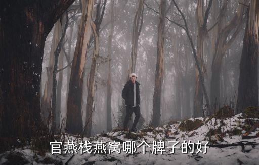 官燕棧燕窩哪個(gè)牌子的好
