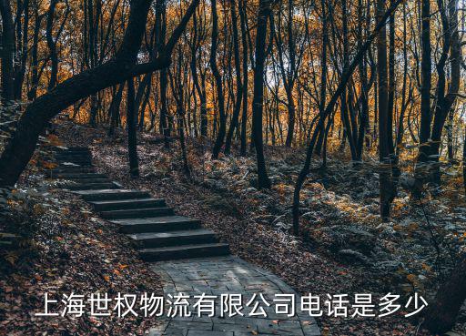 上海世權物流有限公司電話是多少