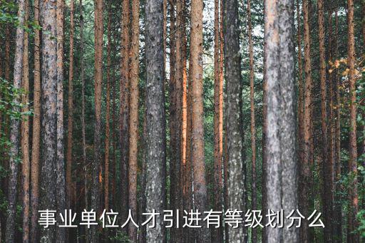 事業單位人才引進，江蘇省事業單位 引進高層次人才什么意思