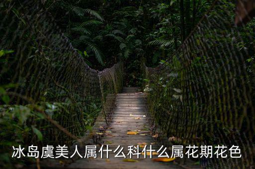 冰島虞美人屬什么科什么屬花期花色