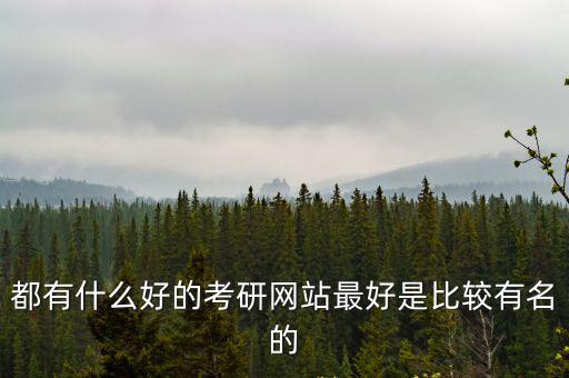 都有什么好的考研網(wǎng)站最好是比較有名的