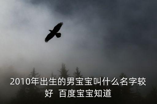2010年出生的男寶寶叫什么名字較好  百度寶寶知道