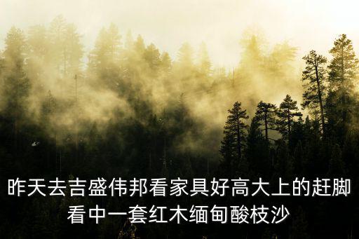 昨天去吉盛偉邦看家具好高大上的趕腳看中一套紅木緬甸酸枝沙
