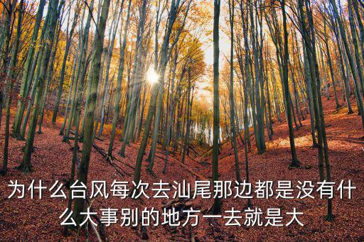 汕尾臺風最新消息，8月8日汕尾紅海灣有臺風嗎