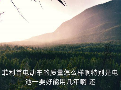 菲利普電動車的質量怎么樣啊特別是電池一要好能用幾年啊 還