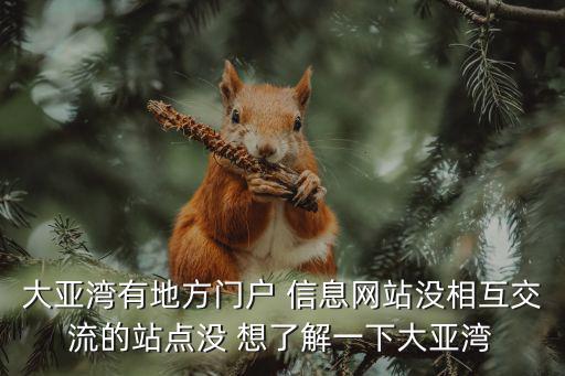 大亞灣有地方門戶 信息網站沒相互交流的站點沒 想了解一下大亞灣