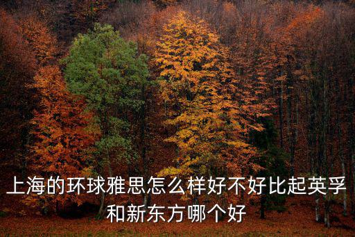 上海的環球雅思怎么樣好不好比起英孚和新東方哪個好