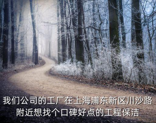 我們公司的工廠在上海浦東新區(qū)川沙路附近想找個口碑好點(diǎn)的工程保潔