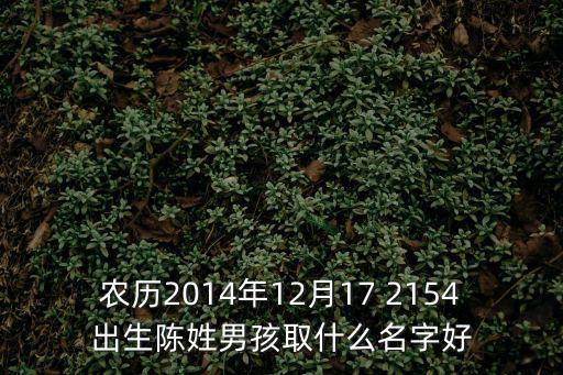 農(nóng)歷2014年12月17 2154出生陳姓男孩取什么名字好