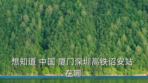 想知道 中國 廈門深圳高鐵詔安站 在哪