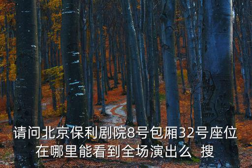 請問北京保利劇院8號包廂32號座位在哪里能看到全場演出么  搜