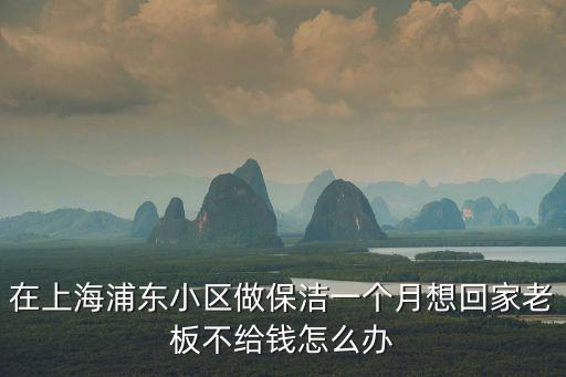 在上海浦東小區(qū)做保潔一個月想回家老板不給錢怎么辦