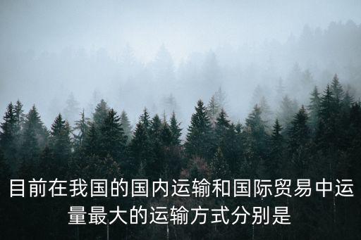 目前在我國的國內運輸和國際貿易中運量最大的運輸方式分別是