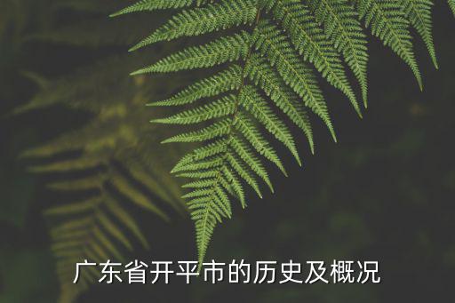 開(kāi)平市人民政府，開(kāi)平任免公示在那里看