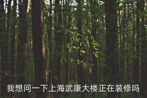 武康大樓，我想問一下上海武康大樓正在裝修嗎