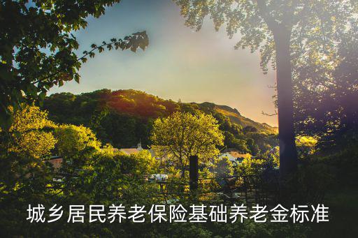 城鄉(xiāng)居民養(yǎng)老保險(xiǎn)基礎(chǔ)養(yǎng)老金標(biāo)準(zhǔn)
