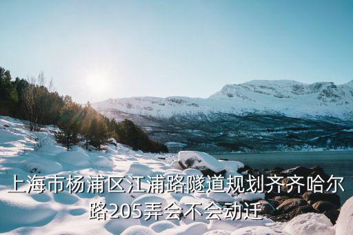 上海市楊浦區(qū)江浦路隧道規(guī)劃齊齊哈爾路205弄會(huì)不會(huì)動(dòng)遷