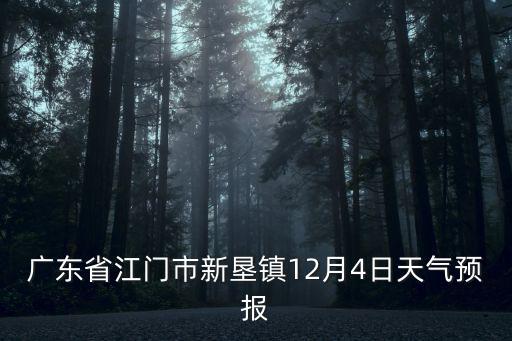 廣東省江門市新墾鎮12月4日天氣預報