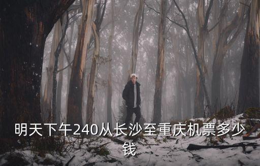 明天下午240從長沙至重慶機票多少錢