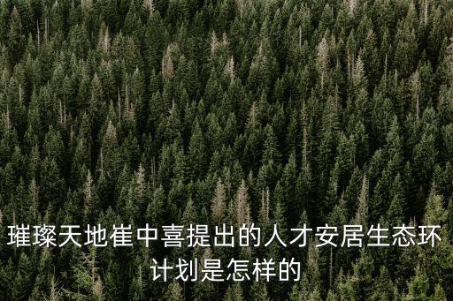 璀璨天地崔中喜提出的人才安居生態(tài)環(huán)計(jì)劃是怎樣的