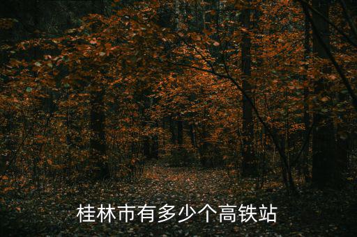 恭城站，桂林市有多少個高鐵站