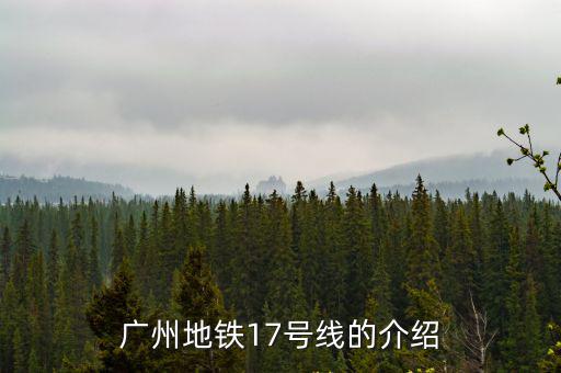 廣州地鐵17號線的介紹