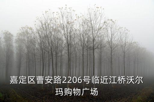 嘉定區曹安路2206號臨近江橋沃爾瑪購物廣場