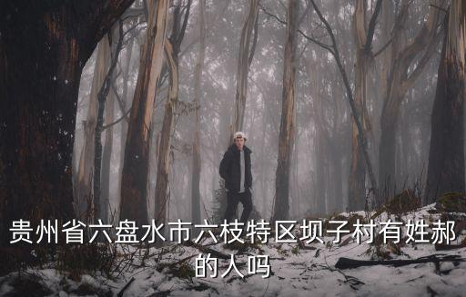 貴州省六盤水市六枝特區壩子村有姓郝的人嗎