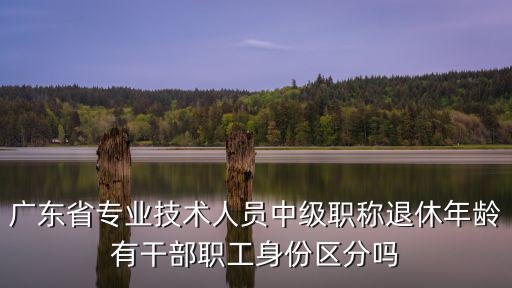 廣東省專業(yè)技術(shù)人員中級職稱退休年齡有干部職工身份區(qū)分嗎