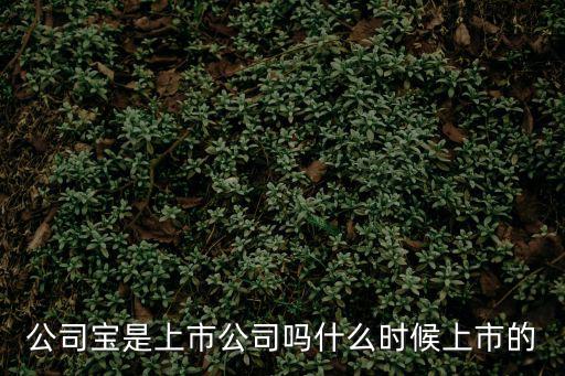 公司寶，公司寶是上市公司嗎什么時候上市的