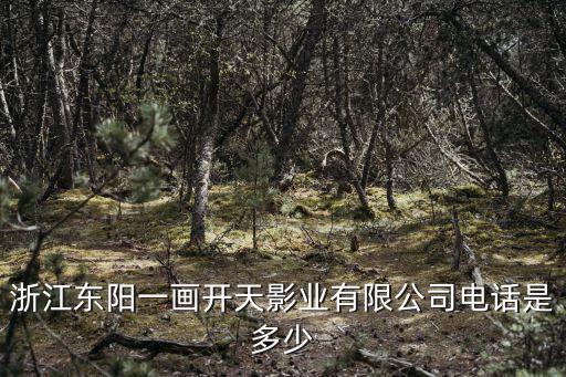 浙江東陽(yáng)一畫開天影業(yè)有限公司電話是多少