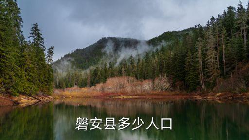 磐安房價，磐安盤龍廣場有幾層樓