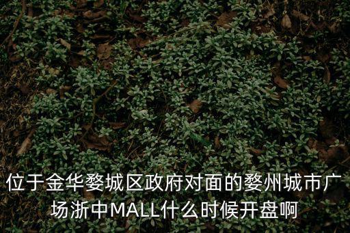 位于金華婺城區政府對面的婺州城市廣場浙中MALL什么時候開盤啊