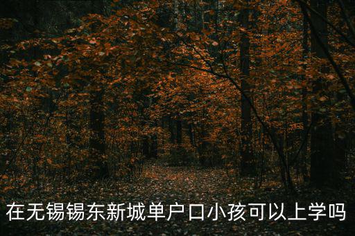 在無錫錫東新城單戶口小孩可以上學嗎
