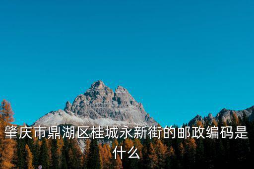 永新街，肇慶市鼎湖區桂城永新街的郵政編碼是什么