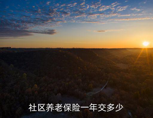 社區養老保險一年交多少