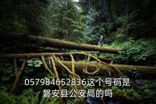 安縣公安局，原文安縣公安局局長張