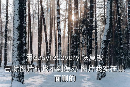 辦圖，用easyrecovery 恢復(fù)被刪除圖片時(shí)找不到怎辦 圖片我實(shí)在桌面刪的
