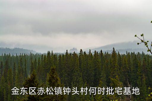 金東區赤松鎮鐘頭村何時批宅基地