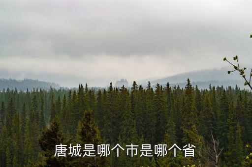 唐城是哪個(gè)市是哪個(gè)省