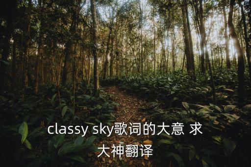 classy sky歌詞的大意 求大神翻譯