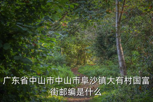 大有村，廣東省中山市中山市阜沙鎮(zhèn)大有村國(guó)富街郵編是什么