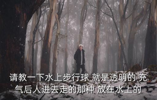 請教一下水上步行球 就是透明的 充氣后人進去走的那種 放在水上的
