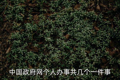 中國政府網個人辦事共幾個一件事