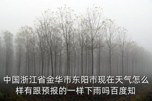 中國浙江省金華市東陽市現(xiàn)在天氣怎么樣有跟預(yù)報的一樣下雨嗎百度知