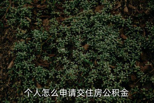 個人怎么申請交住房公積金