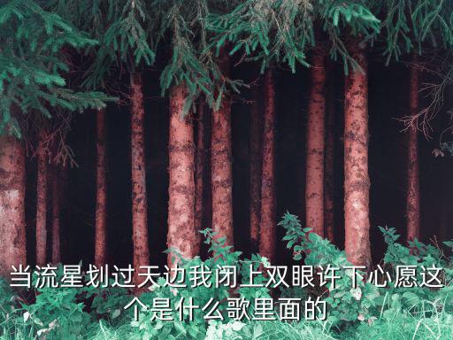 劉啟俊，候補情人歌詞